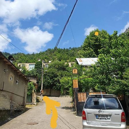 Nari Apartment Borjomi Bagian luar foto