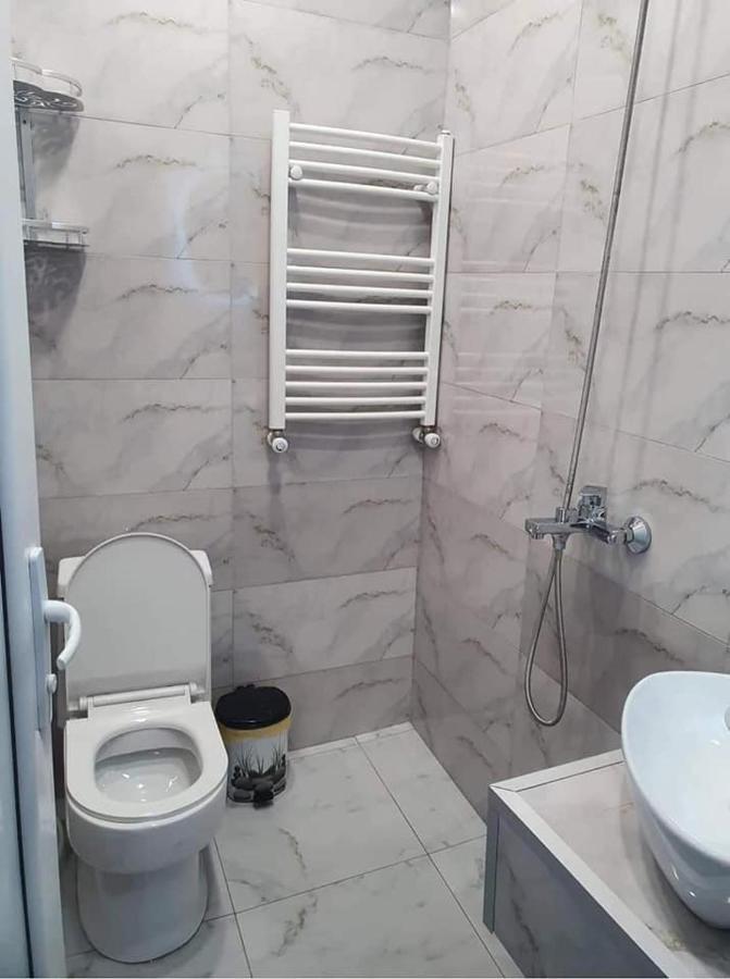 Nari Apartment Borjomi Bagian luar foto