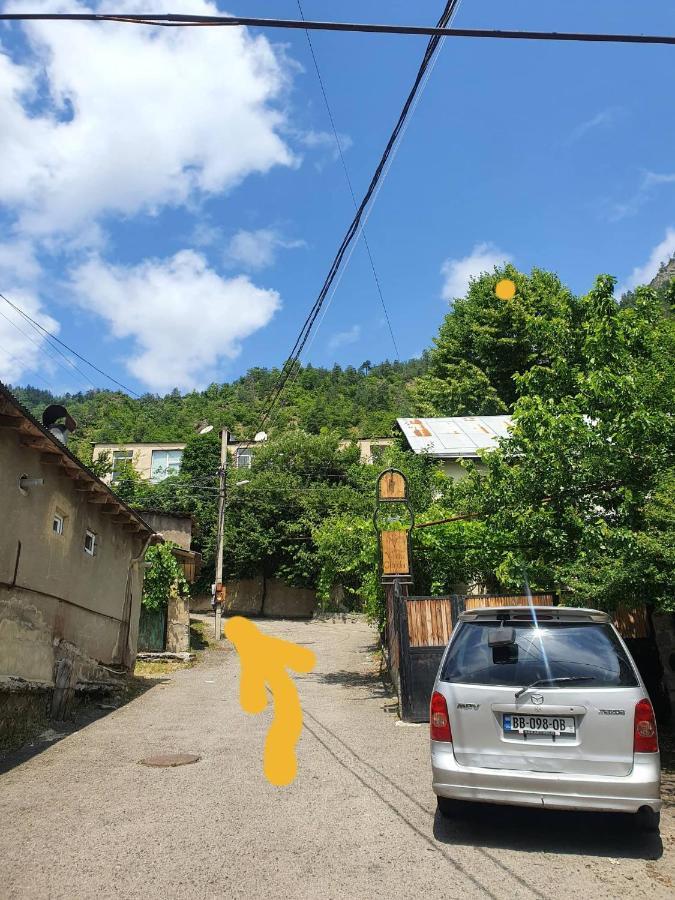 Nari Apartment Borjomi Bagian luar foto